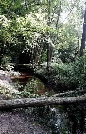 Photo de Ranschgraben