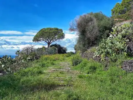 Photo de Riserva naturale orientata La Timpa