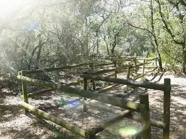 Photo de Parcour Bourbaki