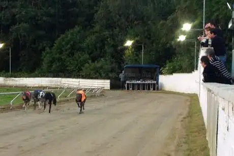 Photo de Valley Greyhound Stadium