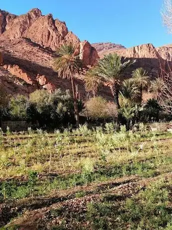Photo de Tinghir Oasis Panorama Overview