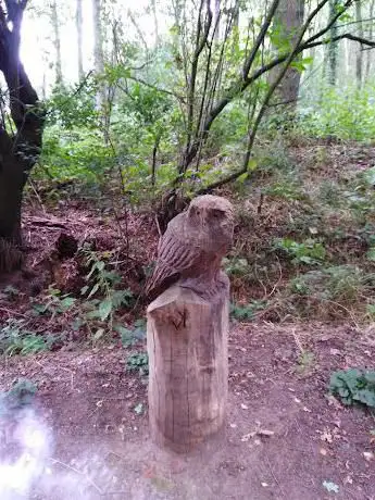 Photo de Kinderboerderij De Pluimhoeve