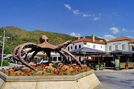 Photo de Hobotnica