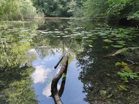 Photo de Lengnau Wurzelweg