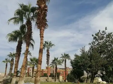 Photo de Musée de la Nubie