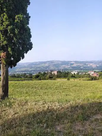 Photo de Cipressi Santa Croce