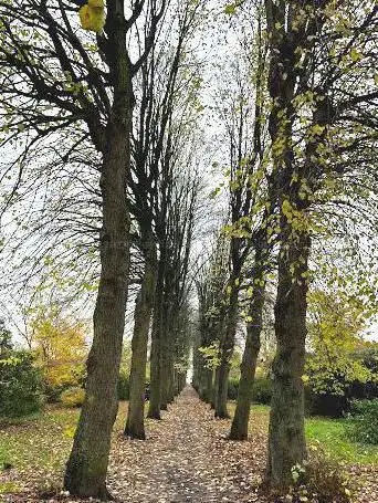 Photo de Chapelle d'Elocques Garden