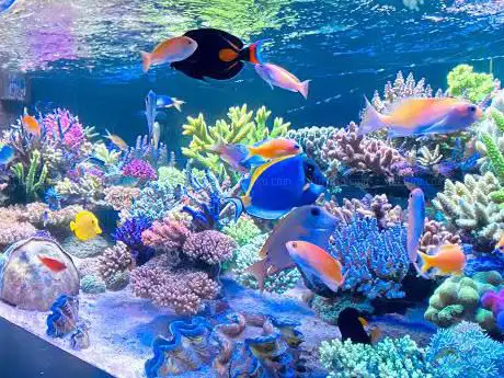 Photo de Acquarius360