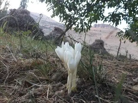 Photo de Çeşm-i Cihan Aile Bahçesi