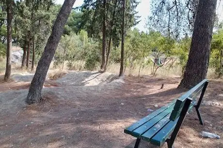 Photo de Youth Park