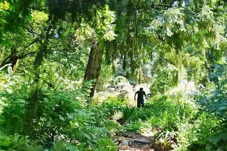 Photo of Jardin alpin