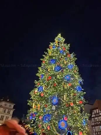 Photo de Discover Strasbourg - Visites de Strasbourg