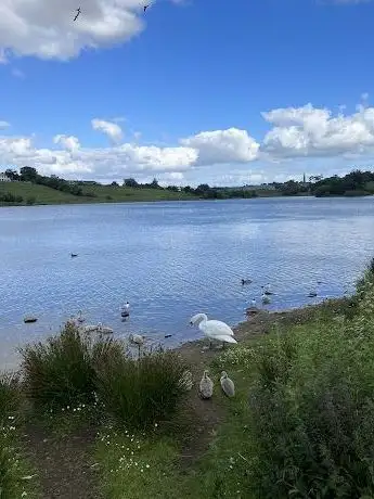 Photo of Black lough