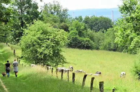 Photo de Wolferskopf Nature Reserve