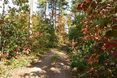 Photo de Toeristische weg