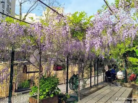 Foto de Les Jardins du Ruisseau