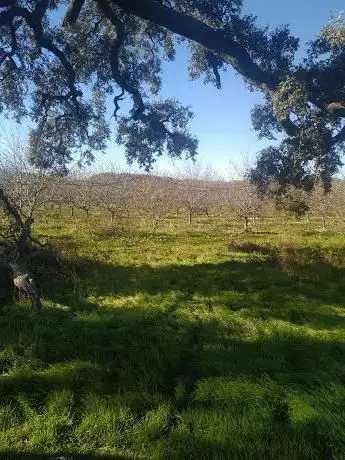 Photo de La Carrasca Becha
