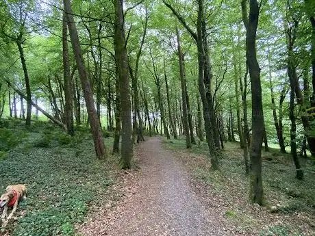 Photo de Brabazon Woods Swinford