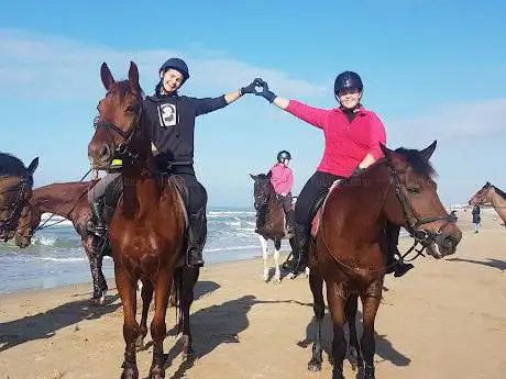 Photo de Il cavallino nero