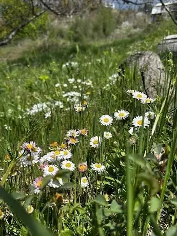 Photo de Sebil parkı
