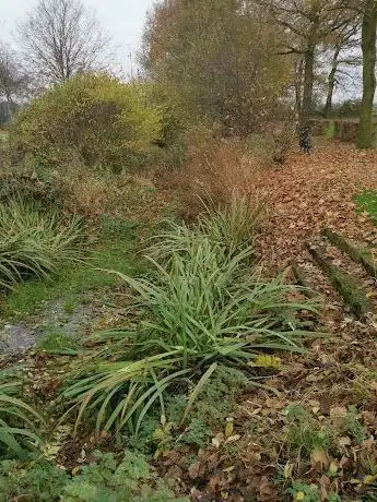 Photo de IJsselbron Isselquelle