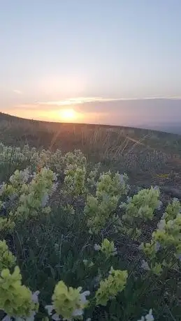 Photo de Gül Heykeli