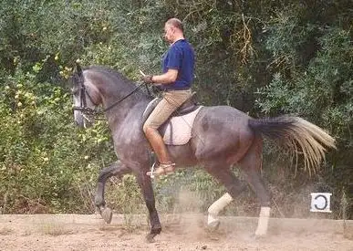 Photo de Centro Equestre Francisco Alcaide