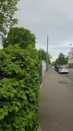 Photo de Kimja - Salzgrotte