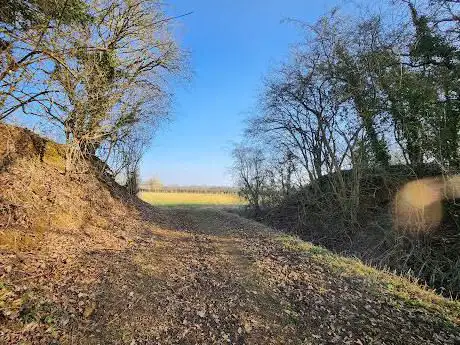 Photo de Finedon Cally Banks