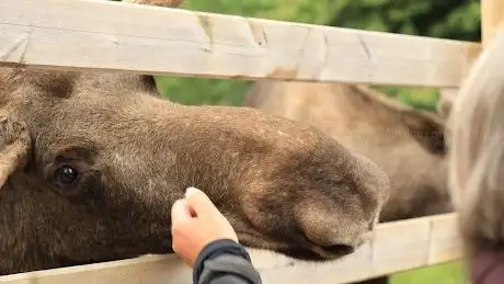 Photo of Räntemåla Gård