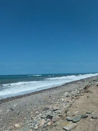 Photo de Ağaçlı plajı