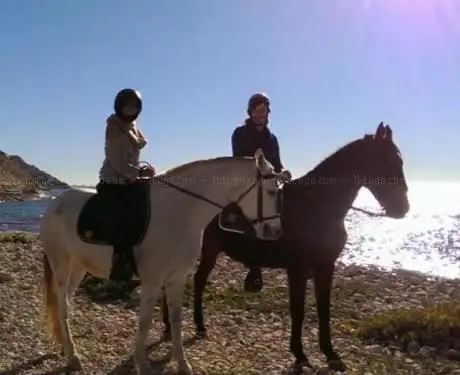 Photo de Alquiler Caballos para Rutas