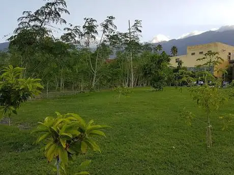 Photo de MoringaPark / MoringaGarden Tenerife