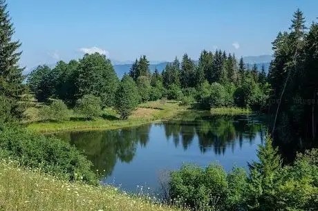 Photo de Çurisbil Yaylası