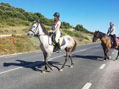 Photo de RIDING FUN IN THE SUN