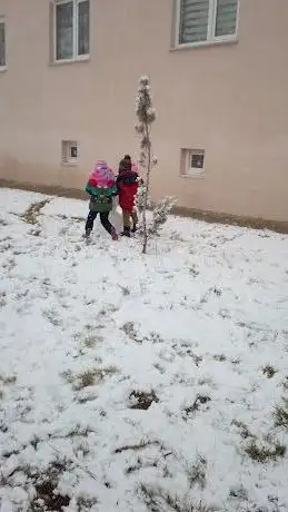 Photo de Erzincan Martyrs' Memorial