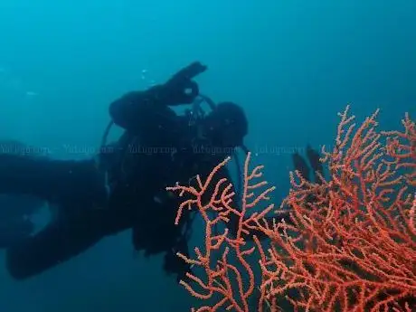 Photo de Mavi Keyif Diving House