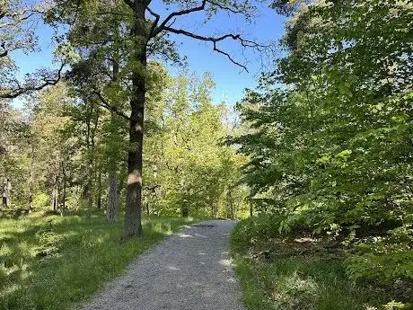 Photo de Djurgårdens bokskog