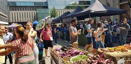 Photo of Imperial College Farmers' Market