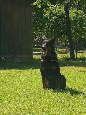 Foto de Skatepark De Sorgues