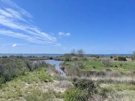 Photo de Caseta d'observació dels ocells / cabane d'observation des oiseaux