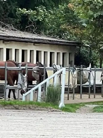 Photo de Reitanlage am Ludwigsbrunnen