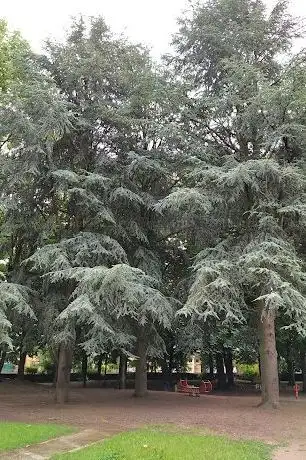 Photo de Parc Dany Mathieu