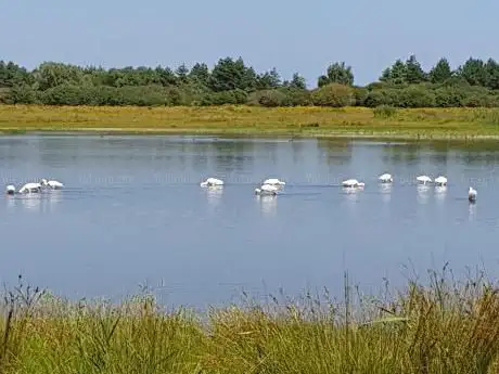 Photo de Marais communal