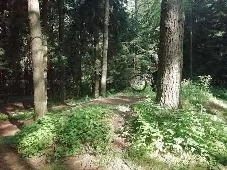 Photo de Bike park Vlčka