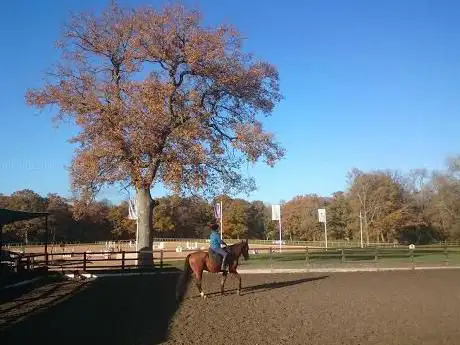 Photo de Equine Rebalance Therapy Centre