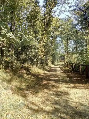 Photo de Sentieri Alle Vedute ( Fucecchio )