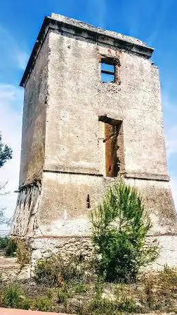 Photo de Torre del telègraf