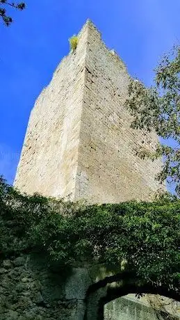 Photo de Burgruine Rauheneck