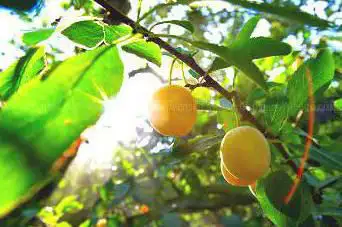 Photo de Meuse Attractivité